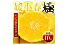 ＜太陽をたっぷり浴びた＞媛小春(ひめこはる)＜極＞10kg＜H49-101＞【1623962】
