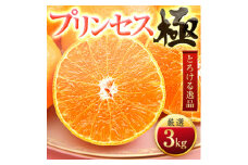 「新品種!!」＜甘平×まどんな＞愛果48号(紅プリンセスと同品種)＜極＞3kg＜E49-91＞【1621803】