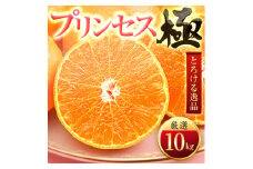 「新品種!!」＜甘平×まどんな＞愛果48号(紅プリンセスと同品種)＜極＞10kg＜H49-93＞【1621805】