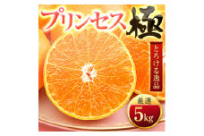 「新品種!!」＜甘平×まどんな＞愛果48号(紅プリンセスと同品種)＜極＞5kg＜H49-92＞_みかん ミカン 紅プリンセスと同品種 柑橘 柑橘類 フルーツ 果物 くだもの 人気 美味しい 愛媛県 八幡浜 ふるさと【1621804】