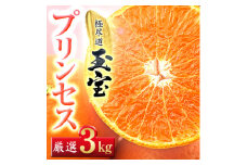 ≪新品種!!≫＜甘平×まどんな＞愛果48号(紅プリンセスと同品種)3kg＜E64-77＞_みかん ミカン 紅プリンセスと同品種 柑橘 柑橘類 フルーツ 果物 くだもの 人気 美味しい 愛媛県 八幡浜 ふるさと【1621822】