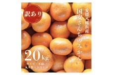 ＜創業85年 親子4代 愛媛みかん 一筋＞訳あり 愛媛みかん 20kg＜H20-82＞【1623264】