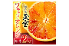 ＜愛媛名産＞玉宝ブラッドオレンジ(タロッコ)　2kg＜A64-82＞【1623965】