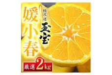 ＜愛媛名産＞玉宝媛小春(ひめこはる)　2kg＜D64-85＞【1623968】