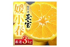 ＜愛媛名産＞玉宝媛小春(ひめこはる)　3kg＜E64-86＞【1623969】