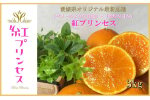 柑橘界のサラブレット!!「まどんな」と「甘平」を親に持つ!!　「紅プリンセス」3キロ＜F39-77＞【1621866】