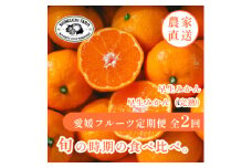 ＜発送月固定定期便＞「時期による味の違いを楽しむ」愛媛みかんの旬を食べ比べ＜F70-81＞全2回【4067806】
