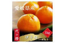 ＜ジューシー果肉がいい香り♪＞＜訳あり＞伊予柑 5kg＜C83-47＞【1625114】
