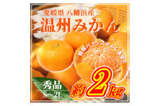＜先行受付＞山海の西宇和みかん約2kg(秀品)＜B81-3＞【1625063】