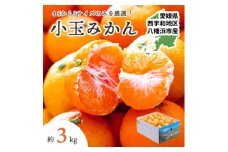 ＜2025年11月より順次出荷＞小さいみかんを厳選!愛媛みかん小玉3kg＜訳あり＞＜A25-218＞【1626121】