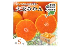 ＜2025年11月より順次発送＞大玉サイズのみ厳選!愛媛みかん5kg＜訳あり＞＜A25-219＞【1626146】