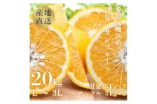甘夏&サンフルーツ20kg (各10kg)＜H20-84＞【1625127】
