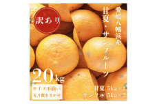甘夏&サンフルーツ各10kg＜訳あり＞＜F20-85＞【1625136】