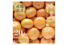 ＜創業85年 親子4代 愛媛みかん 一筋＞愛媛八幡浜産 極早生みかん 20kg＜H20-86＞【1625218】