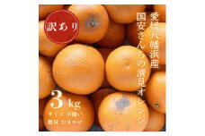 ＜まるで食べるジュース!越冬完熟品＞愛媛産 訳あり 清見オレンジ 3kg＜C20-87＞【1625400】