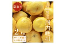 《果汁たっぷりジューシー》産地直送 愛媛八幡浜産 訳あり 河内晩柑 2kg＜A20-88＞【1625427】