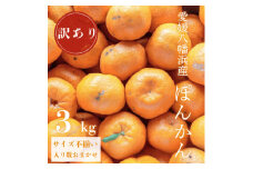 ＜南国を感じさせる独特の香り＞訳あり 愛媛ポンカン 3kg＜C20-91＞【1625439】