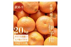 ＜爽やか香りと柔らかジューシーな果肉＞愛媛八幡浜産 訳あり 宮内伊予柑 20kg＜G20-92＞【1625451】