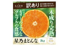 ＜三つ星ブランド＞訳あり 星乃まどんな(2kg)＜C45-91＞【1625773】
