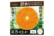 ＜訳あり＞星乃せとか 柑橘の大トロ(2kg)＜C45-92＞【1625775】