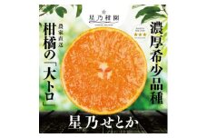 ＜三つ星ブランド＞星乃せとか(3kg)＜D45-93＞【1625776】