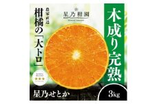 ＜三つ星ブランド＞星乃せとか(3kg)＜D45-93＞【1625776】
