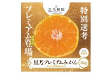 ＜三つ星ブランド＞星乃みかんプレミアムシリーズ(3kg)＜C45-94＞【1625778】