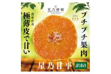 ＜訳あり＞星乃みかん園の甘平(3.5kg)＜D45-95＞【1625779】