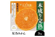 ＜三つ星ブランド＞星乃みかん(3kg)＜A45-96＞【1625777】