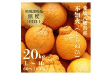 ＜糖度14.0以上酸1.4以下＞糖酸選別品 愛媛産 不知火 (しらぬひ) 20kg＜H20-93＞【1625296】