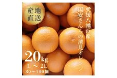 ＜まるで食べるジュース!越冬完熟品＞愛媛産 清見オレンジ 20kg＜H20-94＞【1625385】