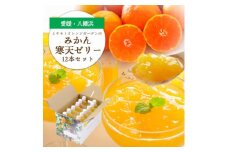 ゲル化剤・pH調整剤不使用!愛媛産 みかん寒天ゼリー 12本セット＜D25-220＞【1628720】