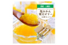 ゲル化剤・pH調整剤不使用!愛媛産 塩みかん寒天ゼリー 12本セット＜D25-221＞【1628728】