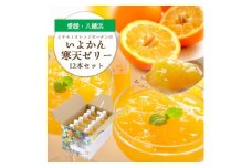 ゲル化剤・pH調整剤不使用!愛媛産 いよかん寒天ゼリー 12本セット＜D25-222＞【1628734】