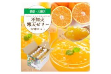 ゲル化剤・pH調整剤不使用!愛媛産 不知火寒天ゼリー 12本セット＜D25-224＞【1628746】