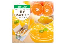 ＜高級品種＞愛媛限定栽培柑橘 甘平(かんぺい)寒天ゼリー 8本セット＜C25-225＞【1629410】