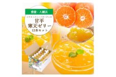 ゲル化剤・pH調整剤不使用!愛媛限定栽培品種 甘平(かんぺい)寒天ゼリー 12本＜D25-226＞【1629412】