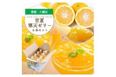 ほろ苦く甘酸っぱいさわやかな味わい 愛媛産 甘夏寒天ゼリー 8本セット＜C25-228＞【1629478】