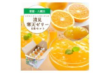 ゲル化剤・pH調整剤不使用!愛媛産 清見寒天ゼリー 8本セット＜C25-229＞【1629894】