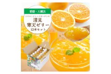 ゲル化剤・pH調整剤不使用!愛媛産 清見寒天ゼリー 12本セット＜D25-230＞【1629903】