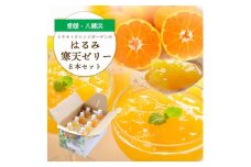 ゲル化剤・pH調整剤不使用!愛媛産 はるみ寒天ゼリー 8本セット＜C25-231＞【1629914】