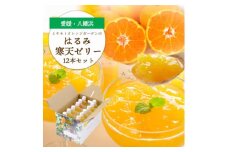 ゲル化剤・pH調整剤不使用!愛媛産 はるみ寒天ゼリー 12本セット＜D25-232＞【1629916】