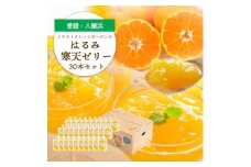 ゲル化剤・pH調整剤不使用!愛媛産 はるみ寒天ゼリー 30本セット＜H25-233＞【1629990】