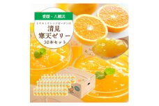 ゲル化剤・pH調整剤不使用!愛媛産 清見寒天ゼリー 30本セット＜H25-234＞【1629999】