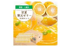 ゲル化剤・pH調整剤不使用!愛媛産 甘夏寒天ゼリー 30本セット＜H25-235＞【1630004】