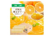 ゲル化剤・pH調整剤不使用!愛媛産 不知火寒天ゼリー 30本セット＜H25-236＞【1630014】