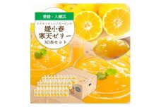 ゲル化剤・pH調整剤不使用!愛媛産 媛小春寒天ゼリー 30本セット＜H25-238＞【1630020】