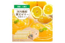 ゲル化剤・pH調整剤不使用!愛媛産 河内晩柑寒天ゼリー 30本セット＜H25-239＞【1630027】