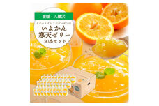 ゲル化剤・pH調整剤不使用!愛媛産 いよかん寒天ゼリー 30本セット＜H25-240＞【1630031】