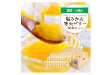ゲル化剤・pH調整剤不使用!愛媛産 塩みかん寒天ゼリー 30本セット＜H25-241＞【1630033】